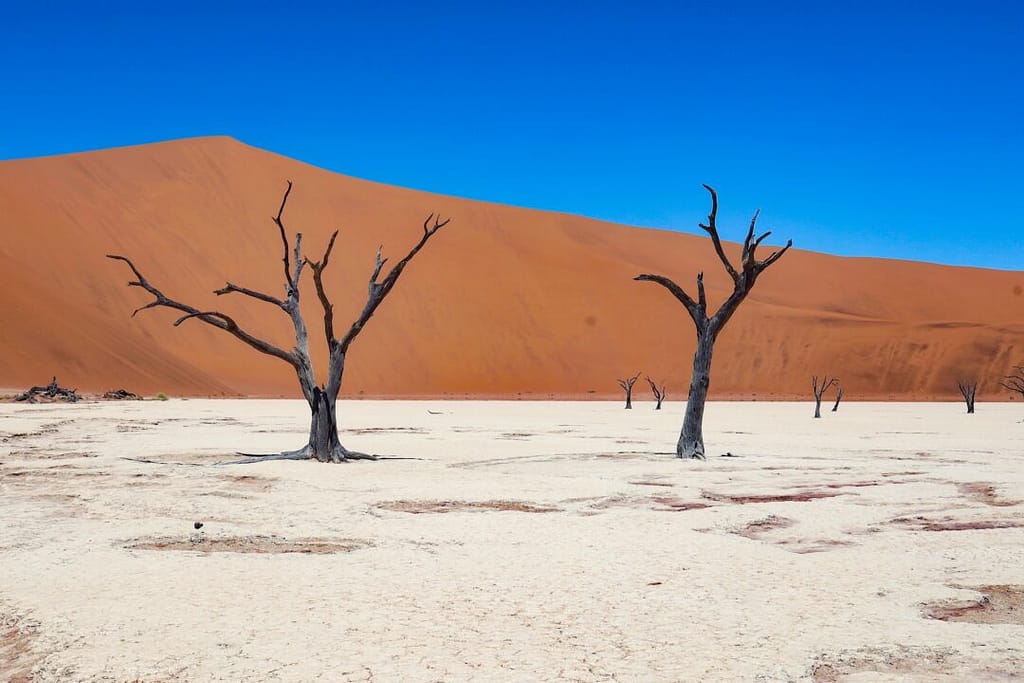 Esplora la Namibia – Le 10 Mete Imperdibili per un Viaggio Eccezionale