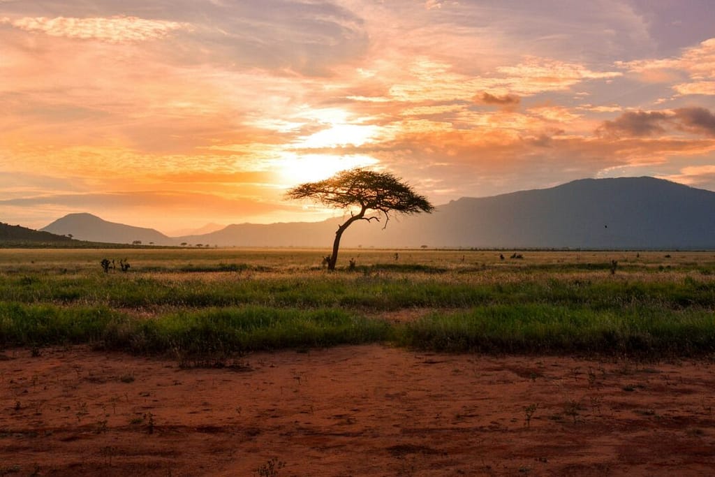 Turismo Sostenibile in Africa: 6 Modi per Viaggiare Responsabilmente