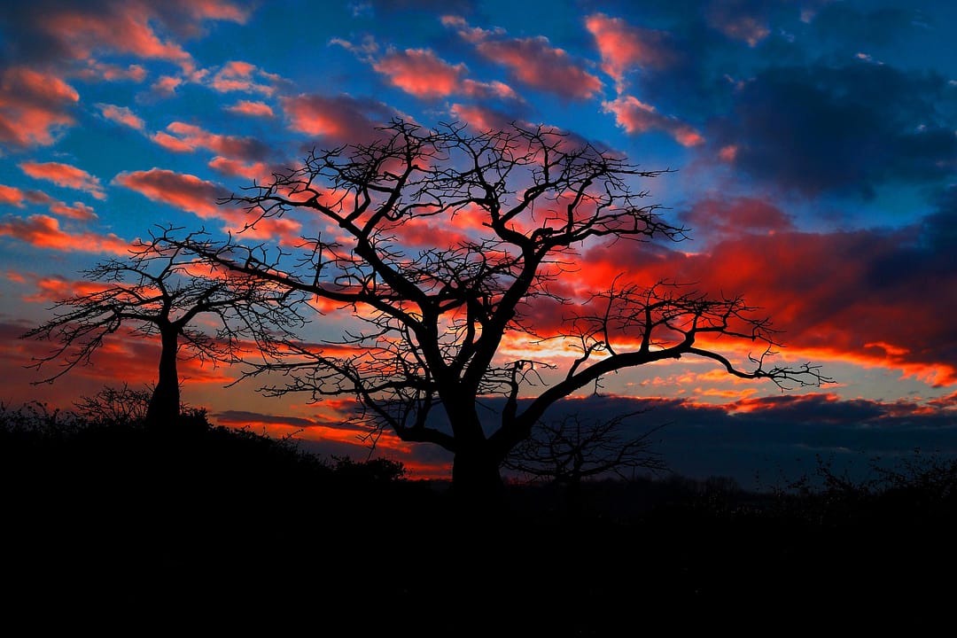 Tramonto in Angola