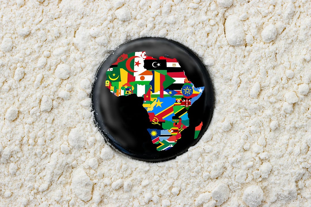 bandiere stati continente africano viaggio in africa