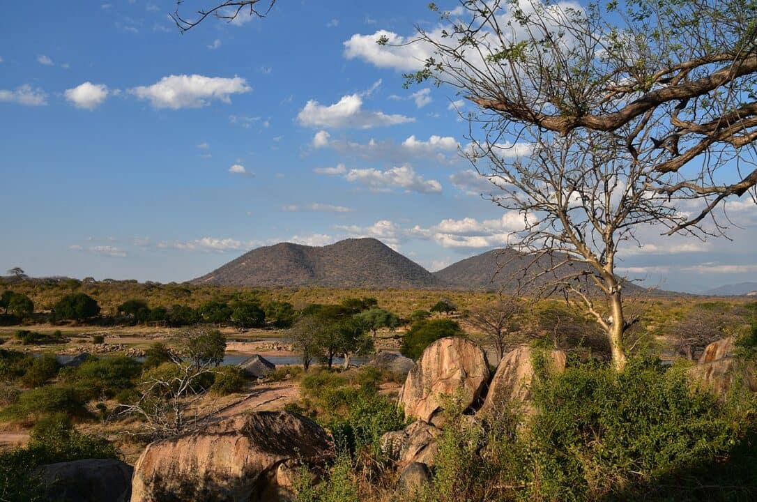 Ruaha National Park landscape viaggioinafrica