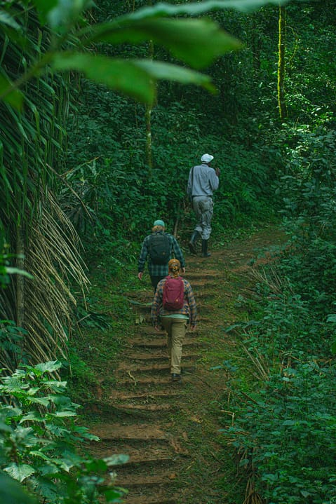 Trekking nella Riserva Nazionale Kakamega Kenya Trekking nella Riserva Nazionale Kakamega Kenya