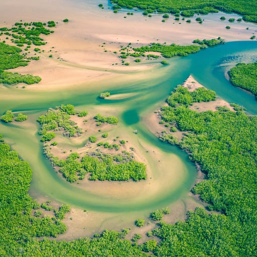Delta del Saloum Senegal Delta del Saloum Senegal