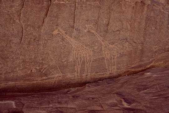 pitture rupestri tamanrasset ahaggar parco nazionale algeria viaggioinafrica