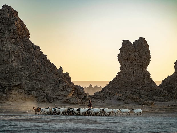 Lac Abbe Gibuti Lac Abbe Gibuti