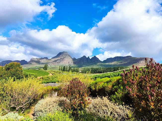 Cape Winelands Sud Africa Cape Winelands Sud Africa
