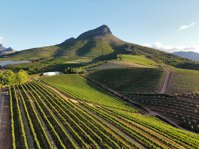 vigneti a stellenbosch sud africa viaggioinafrica