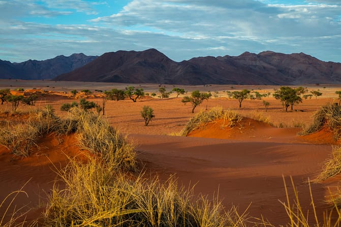 deserto del namib Namibia deserto del namib Namibia
