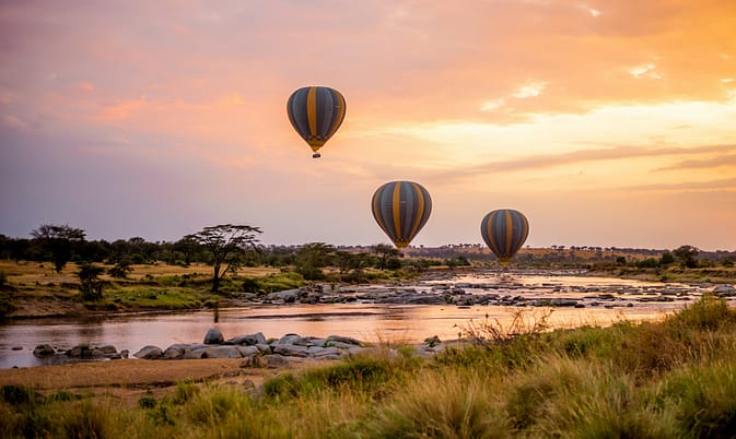 mongolfiere nel serengeti mongolfiere nel serengeti