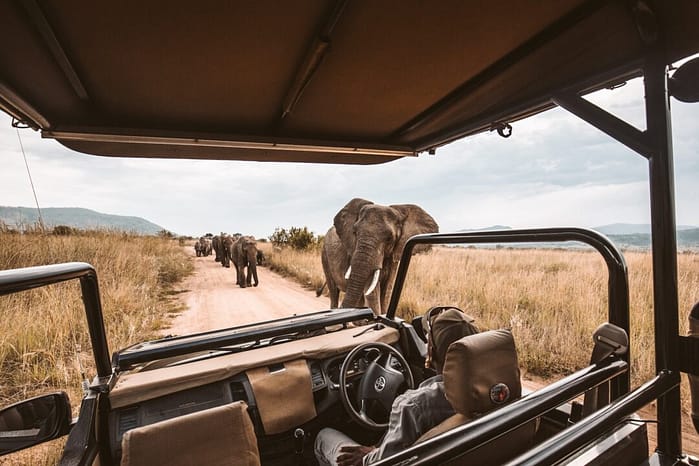 kruger park safari elefante jeep sudafrica viaggio in africa