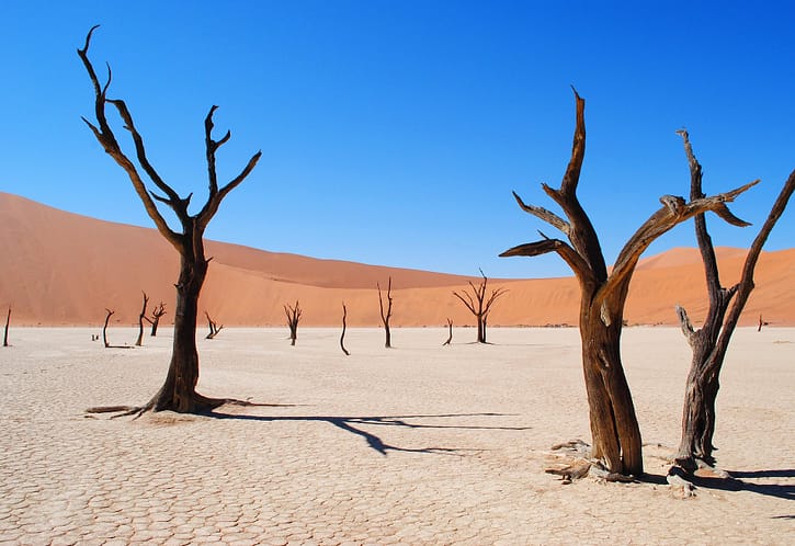 Deadvlei in Namibia Deadvlei in Namibia