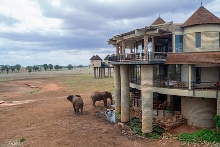 FB IMG 1688594281081 FB IMG 1688594281081