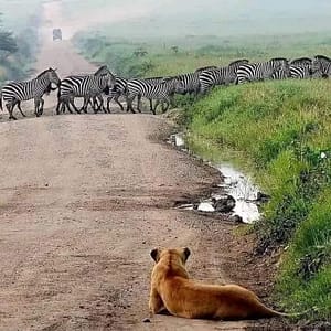 FB IMG 1688594320821 FB IMG 1688594320821