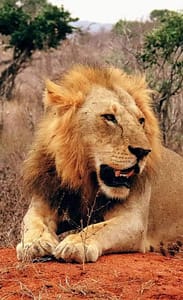 FB IMG 1688594332601 FB IMG 1688594332601