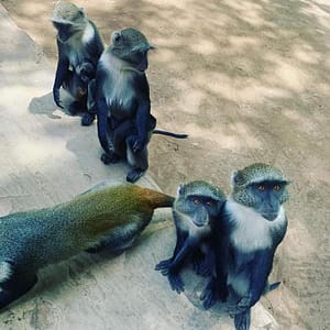 FB IMG 1688594546870 FB IMG 1688594546870