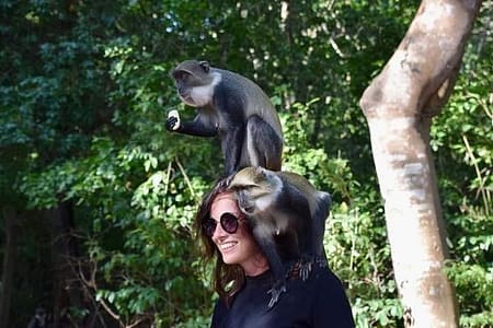 FB IMG 1688594553916 FB IMG 1688594553916