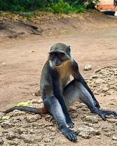 FB IMG 1688594566123 FB IMG 1688594566123