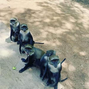 FB IMG 1688594571552 FB IMG 1688594571552