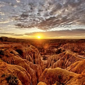 FB IMG 1739319139306 FB IMG 1739319139306