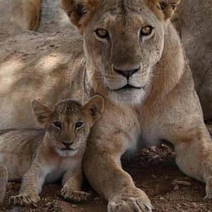 FB IMG 1739319370889 FB IMG 1739319370889