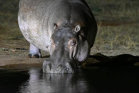 FB IMG 1739319392599 FB IMG 1739319392599