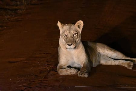 FB IMG 1739319405554 FB IMG 1739319405554