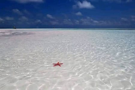 FB IMG 1739653706603 FB IMG 1739653706603