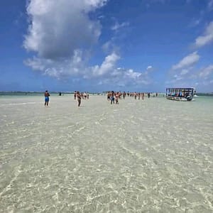 FB IMG 1739653712858 FB IMG 1739653712858