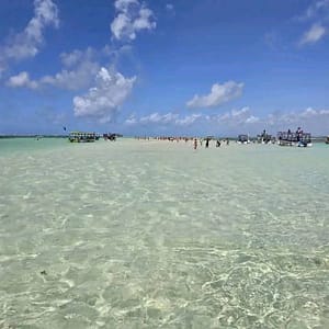 FB IMG 1739653716031 FB IMG 1739653716031