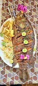 FB IMG 1740967741935 FB IMG 1740967741935