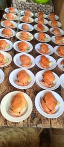 FB IMG 1740967745669 FB IMG 1740967745669