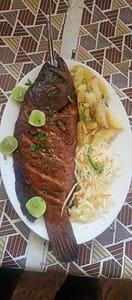 FB IMG 1740967752587 FB IMG 1740967752587