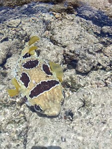 Exif JPEG 420 Exif JPEG 420