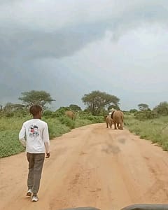 FB IMG 1741648742086 FB IMG 1741648742086