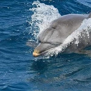 FB IMG 1746354605183 FB IMG 1746354605183