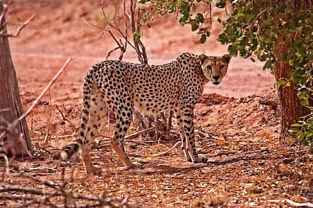 FB IMG 1746354995888 FB IMG 1746354995888