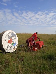 FB IMG 1746355319566 FB IMG 1746355319566