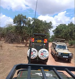 FB IMG 1746355792739 FB IMG 1746355792739