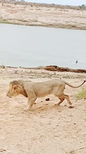 oplus 1056 oplus 1056