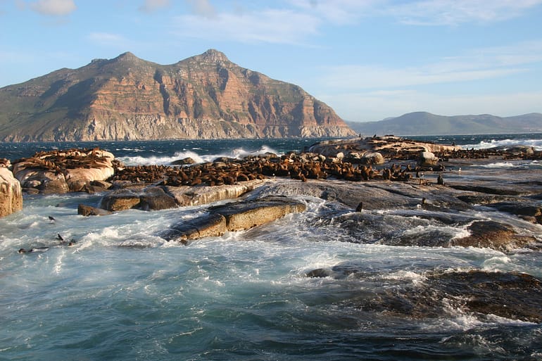 Isola di Duiker Sud Africa