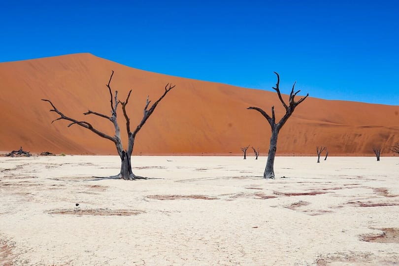 Esplora la Namibia – Le 10 Mete Imperdibili per un Viaggio Eccezionale