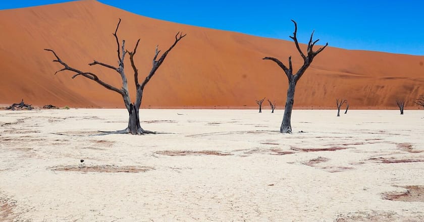 Esplora la Namibia – Le 10 Mete Imperdibili per un Viaggio Eccezionale