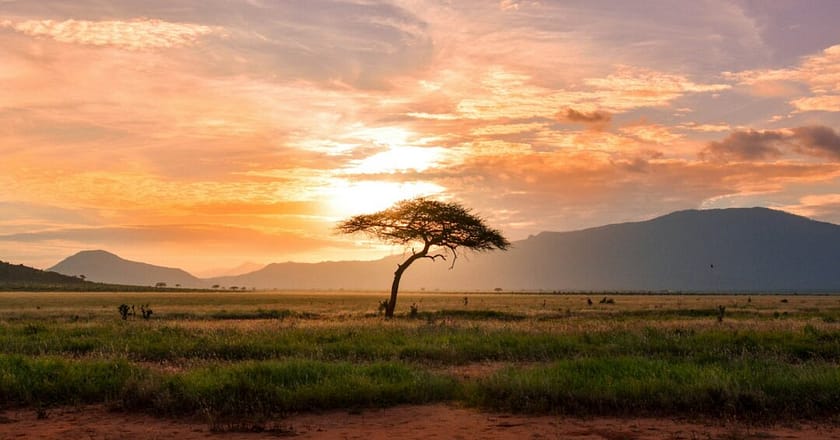 Turismo Sostenibile in Africa: 6 Modi per Viaggiare Responsabilmente