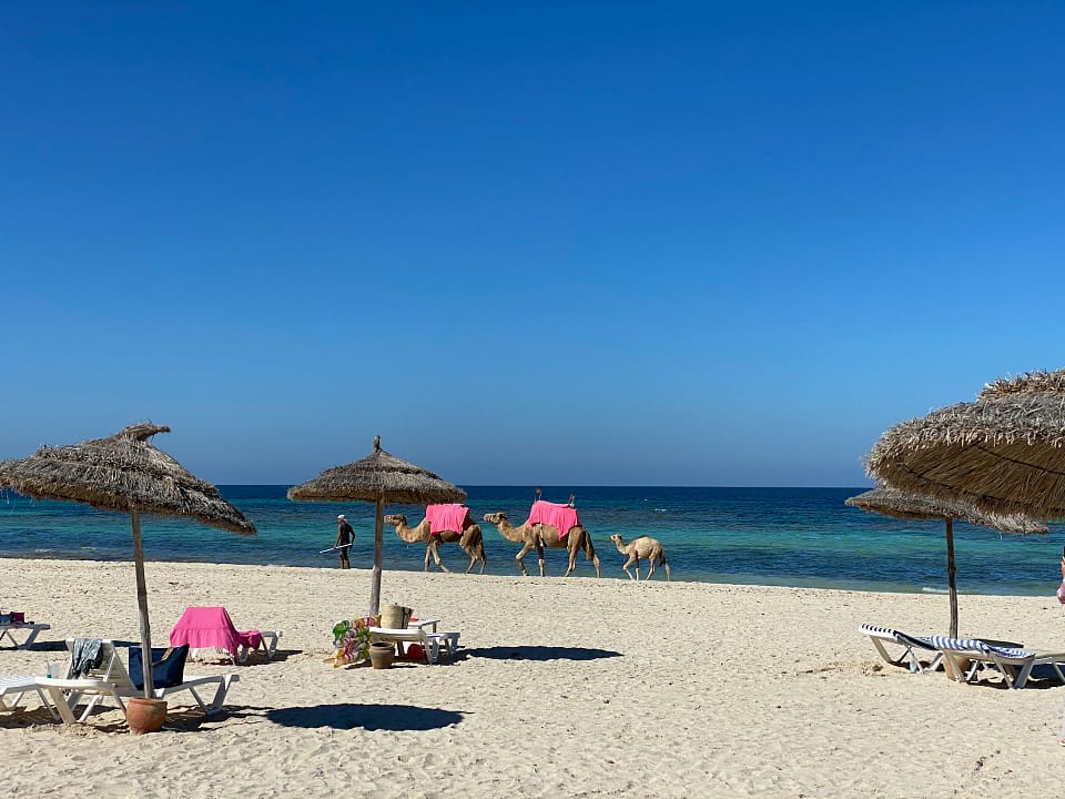 spiaggia djerba tunisia viaggio in africa